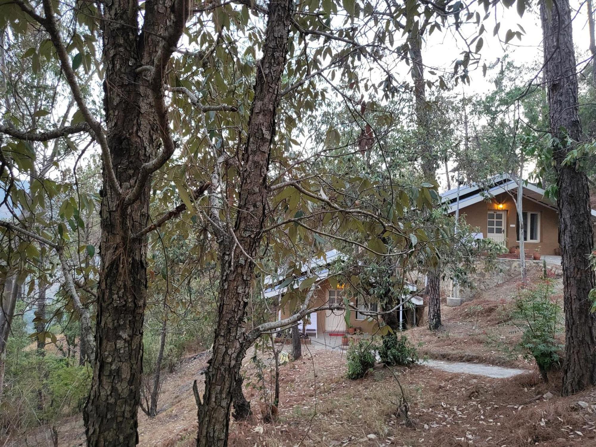 Rainbow Resorts Solan Zimmer foto